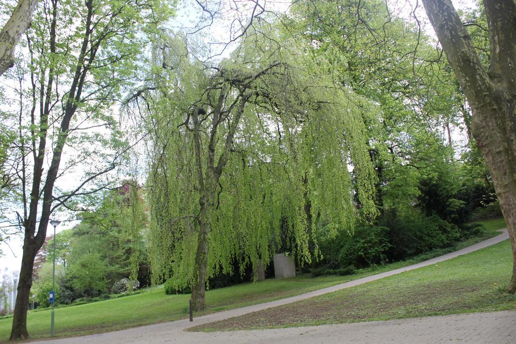 Privatzimmer Hagen Гаґен Екстер'єр фото